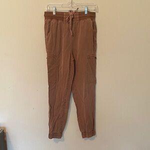 aerie  Cargo Joggers in Rust Brown
